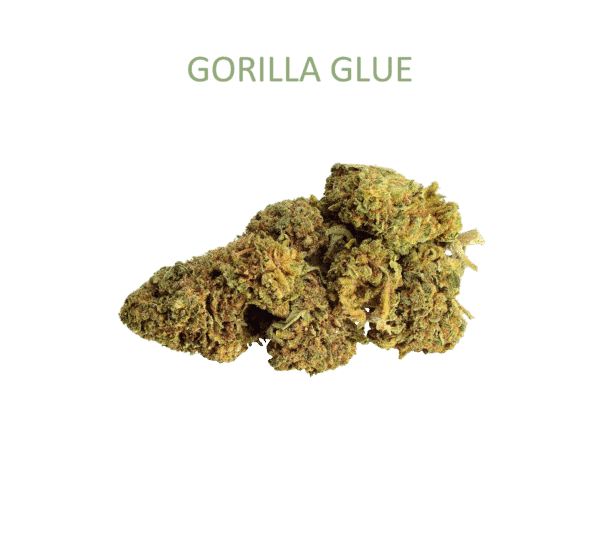 Gorilla Glue + Nombre