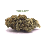 Therapy_OK