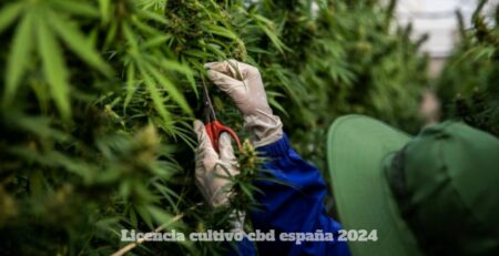 Licencia cultivo CBD España 2024